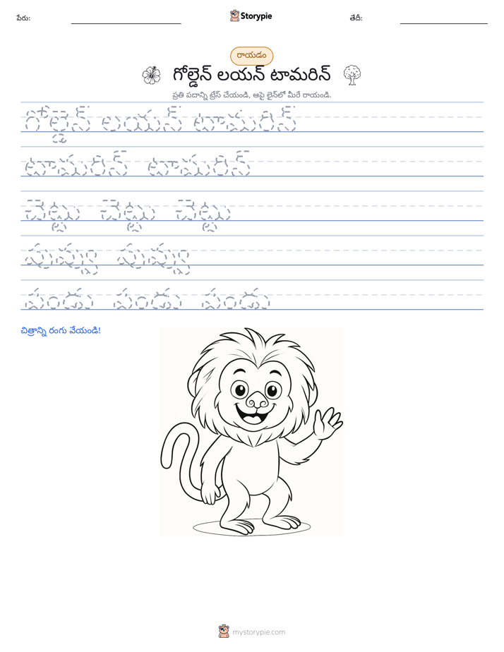 రాయడం సాధన
