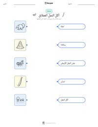 معاينة ورقة العمل القابلة للطباعة آكل النمل العملاق