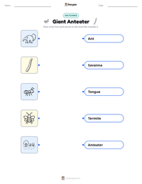 Giant Anteater printable worksheet preview