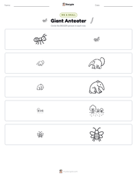 Giant Anteater printable worksheet preview
