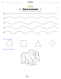 Giant Anteater printable worksheet preview