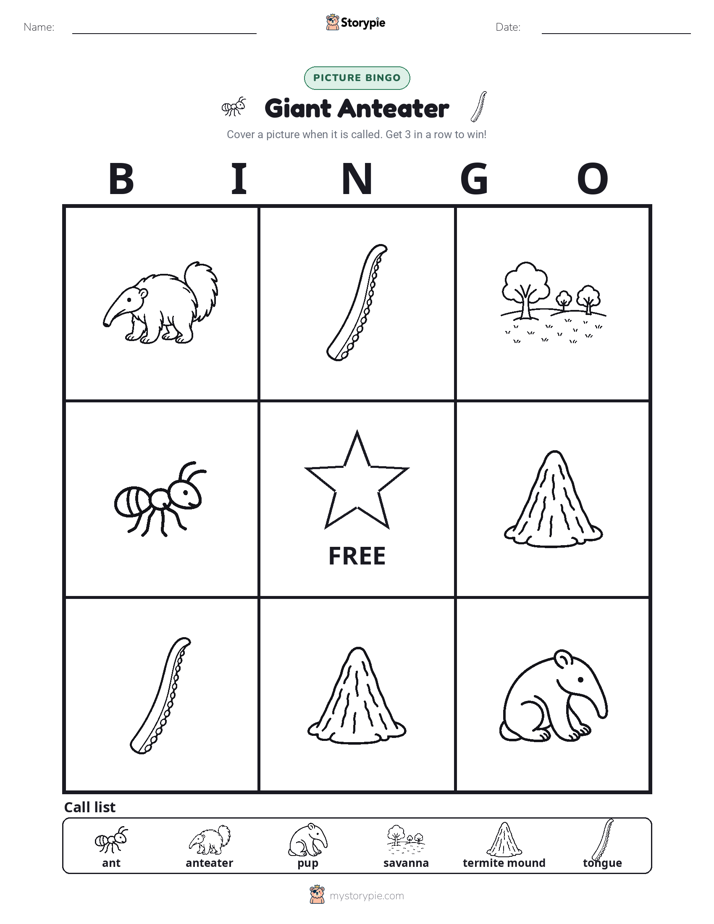Picture Bingo