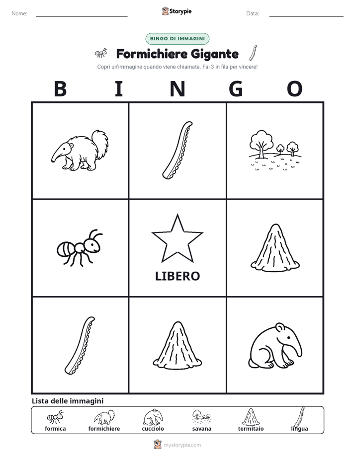 Bingo delle Immagini