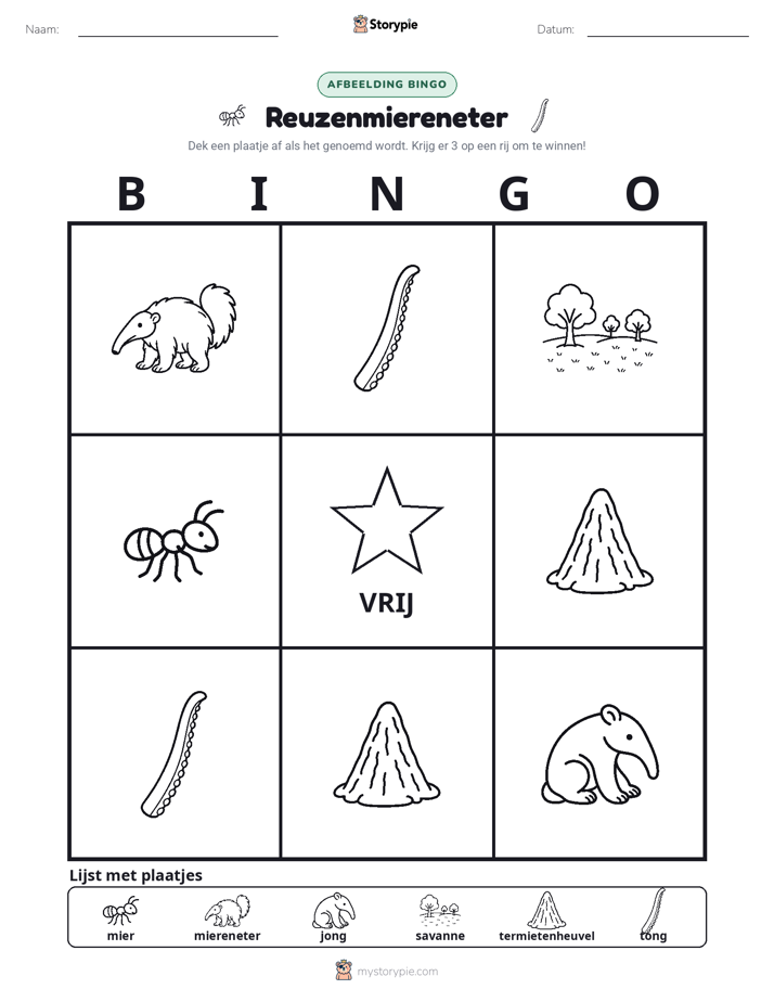 Afbeelding Bingo