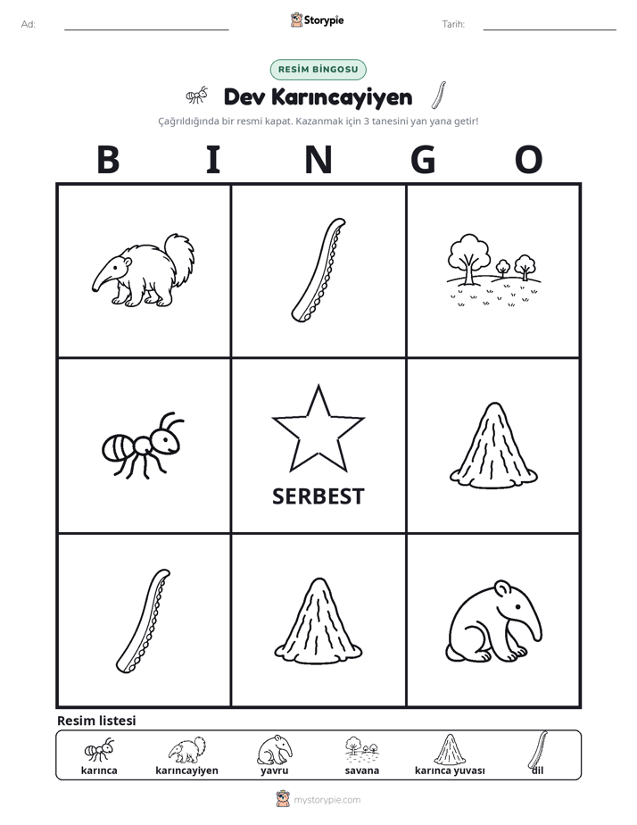 Resim Bingo