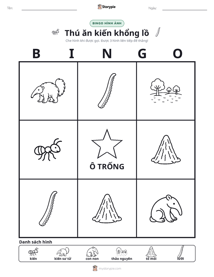 Bingo Hình Ảnh