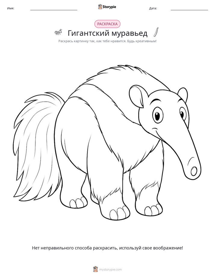 Раскраска