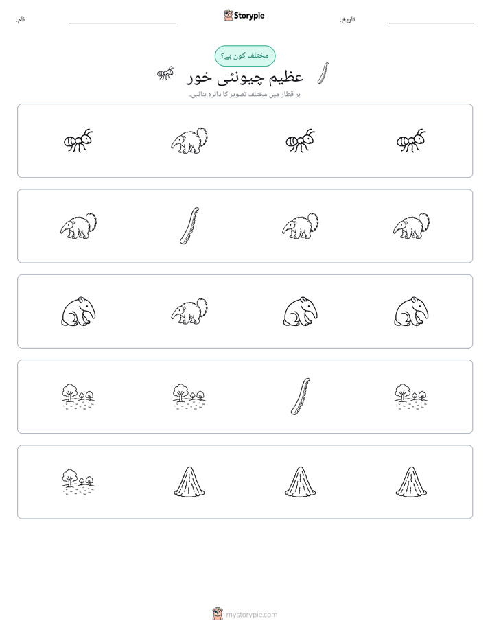 عجیب ایک
