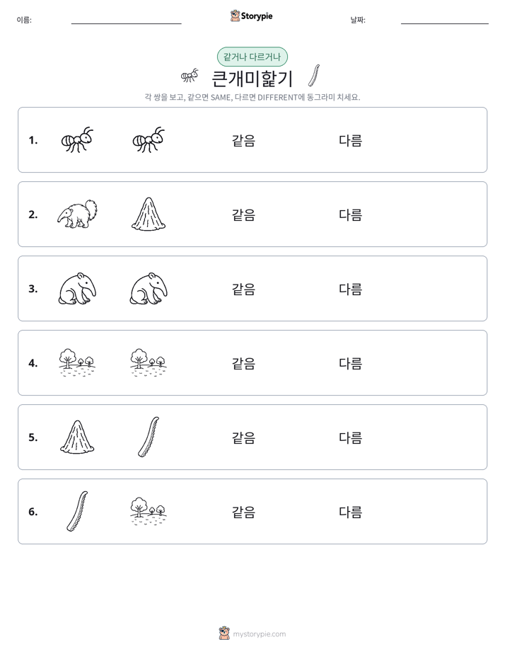 같은 것 또는 다른 것
