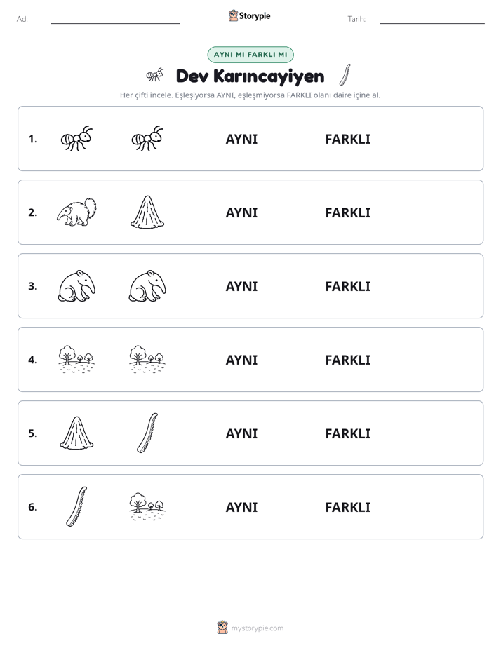 Aynı mı Farklı mı
