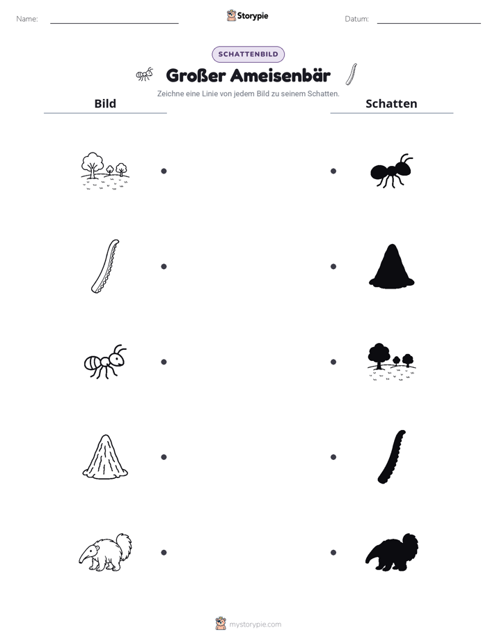 Schattenmatch