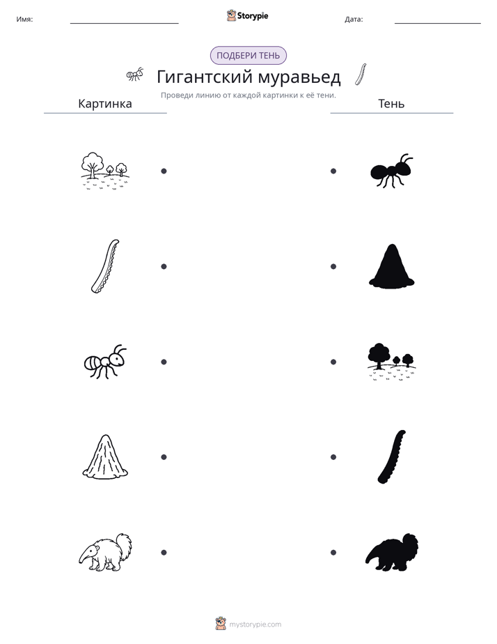 Сопоставление теней