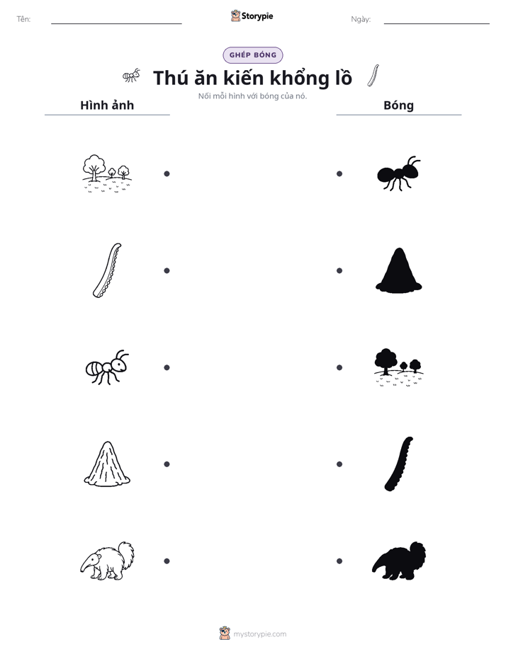 Ghép Hình Bóng