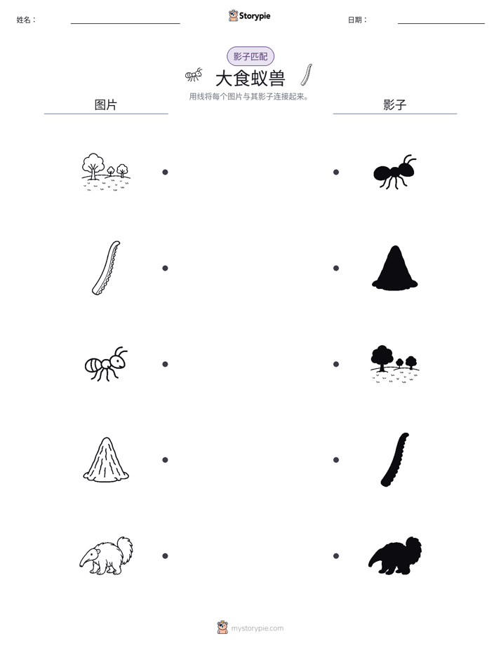影子匹配