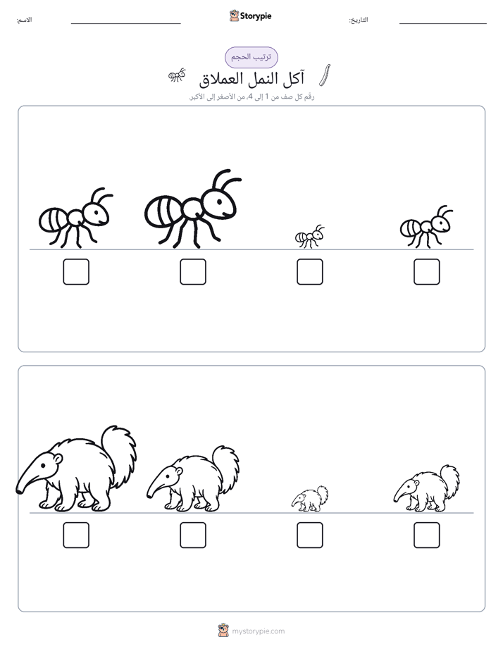 ترتيب الحجم