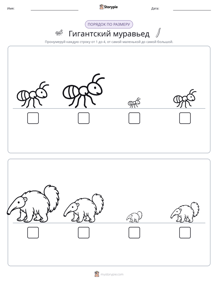 Размеры в порядке