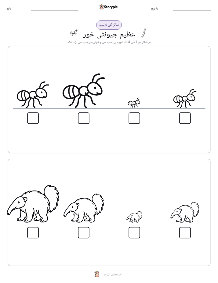 سائز کی ترتیب