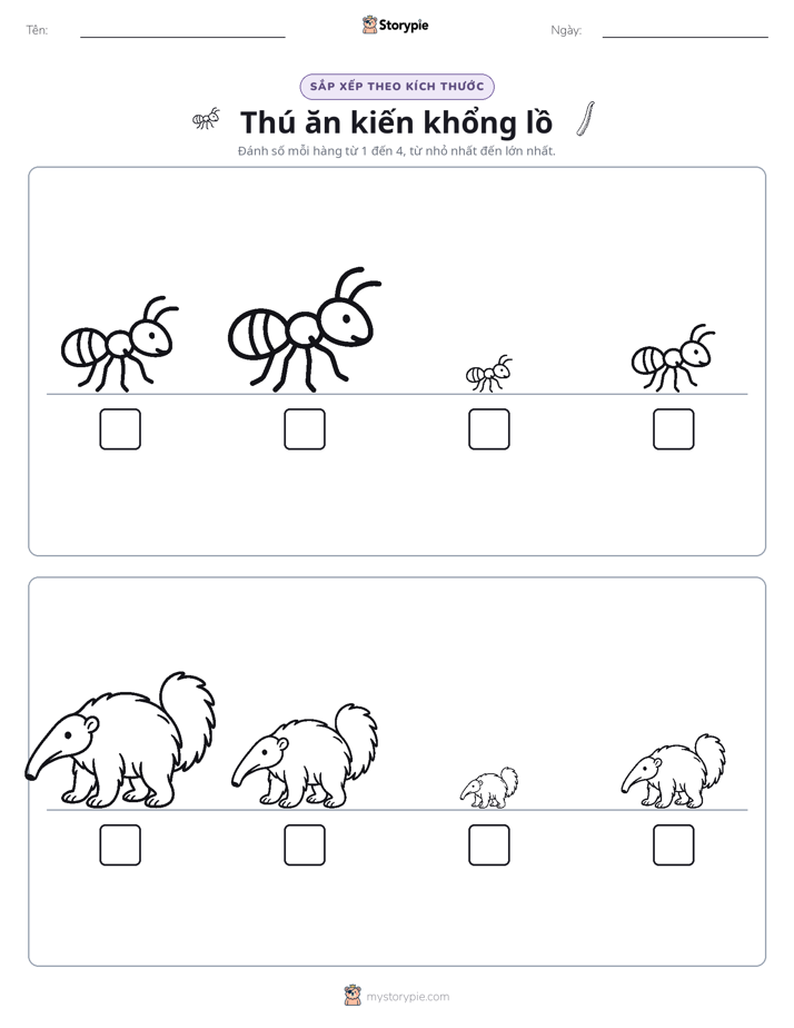Thứ Tự Kích Thước