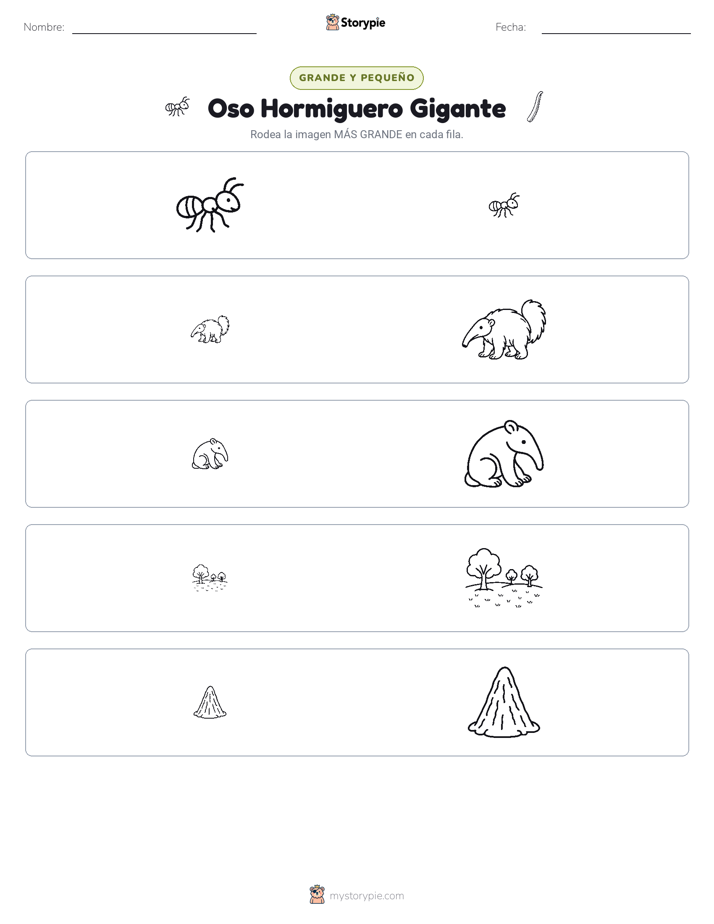 Clasificación