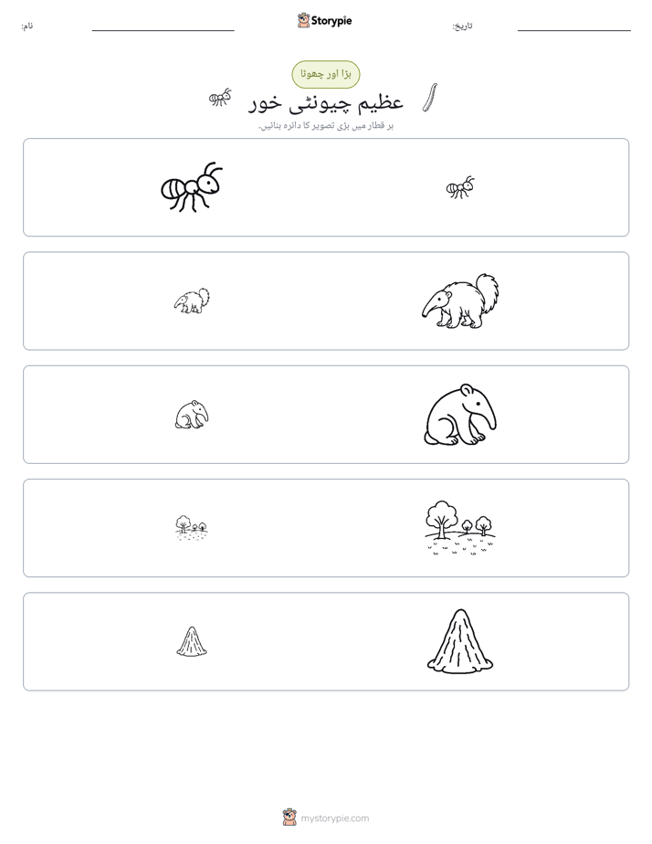 ترتیب دینا