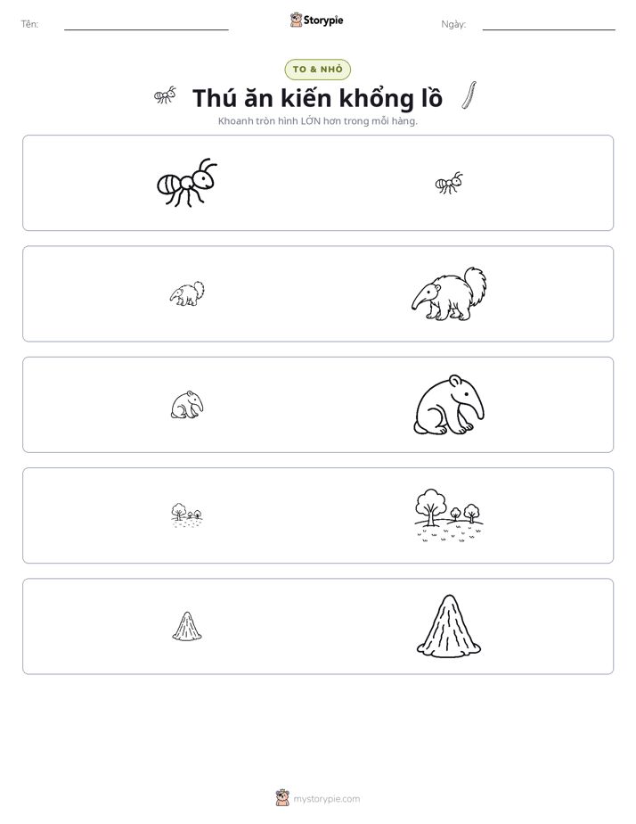 Phân Loại