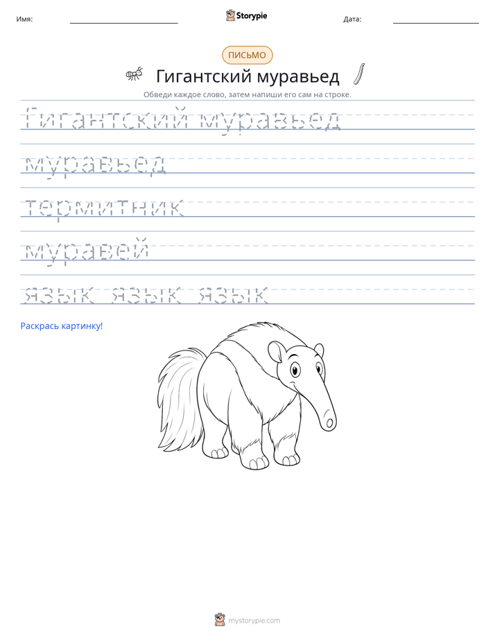 Практика письма