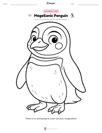 Magellanic Penguin printable worksheet preview