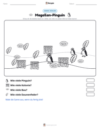 Magellan-Pinguin druckbare Arbeitsblatt Vorschau