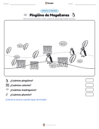 Vista previa de la hoja de trabajo imprimible de Pingüino de Magallanes