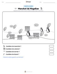 Aperçu de la feuille de travail imprimable Manchot de Magellan