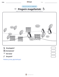 Podgląd drukowalnego arkusza ćwiczeń Pingwin magellański