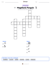 Magellanic Penguin printable worksheet preview