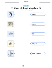 Xem trước tài liệu in sẵn Chim cánh cụt Magellan