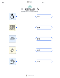 麦哲伦企鹅 可打印工作表预览