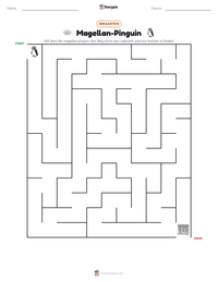 Magellan-Pinguin druckbare Arbeitsblatt Vorschau