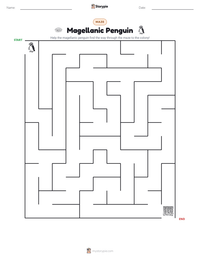 Magellanic Penguin printable worksheet preview