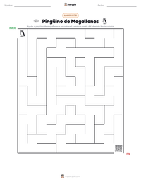 Vista previa de la hoja de trabajo imprimible de Pingüino de Magallanes