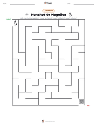 Aperçu de la feuille de travail imprimable Manchot de Magellan