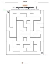 Anteprima della scheda stampabile di Pinguino di Magellano