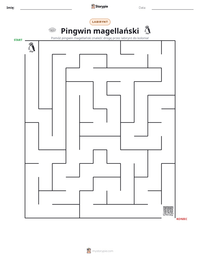 Podgląd drukowalnego arkusza ćwiczeń Pingwin magellański