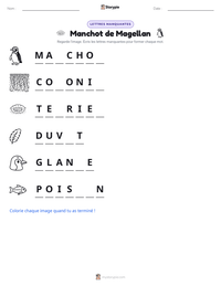 Aperçu de la feuille de travail imprimable Manchot de Magellan