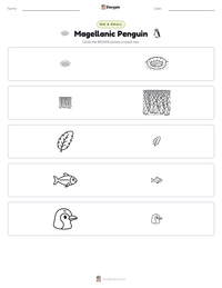 Magellanic Penguin printable worksheet preview