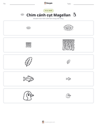 Xem trước tài liệu in sẵn Chim cánh cụt Magellan