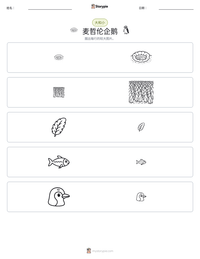 麦哲伦企鹅 可打印工作表预览