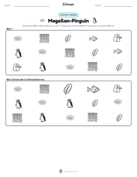 Magellan-Pinguin druckbare Arbeitsblatt Vorschau