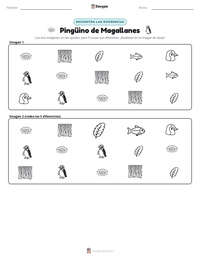 Vista previa de la hoja de trabajo imprimible de Pingüino de Magallanes