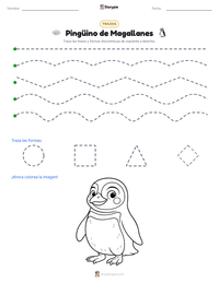 Vista previa de la hoja de trabajo imprimible de Pingüino de Magallanes