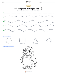 Anteprima della scheda stampabile di Pinguino di Magellano