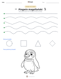Podgląd drukowalnego arkusza ćwiczeń Pingwin magellański
