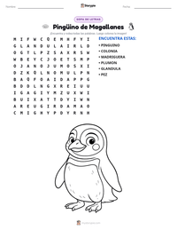 Vista previa de la hoja de trabajo imprimible de Pingüino de Magallanes